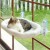 Cordless Cat Window Perch Solid Metal Frame 4 Strong Suction Cups Foldable Indoor Cat Hammock Wall Two Replaceable Beds for Pets