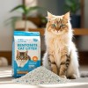 Septic Safe Clumps Break Down Easily Environmentally Friendly Quick Dissolving Water-Soluble 100% Natural Bentonite Cat Litter