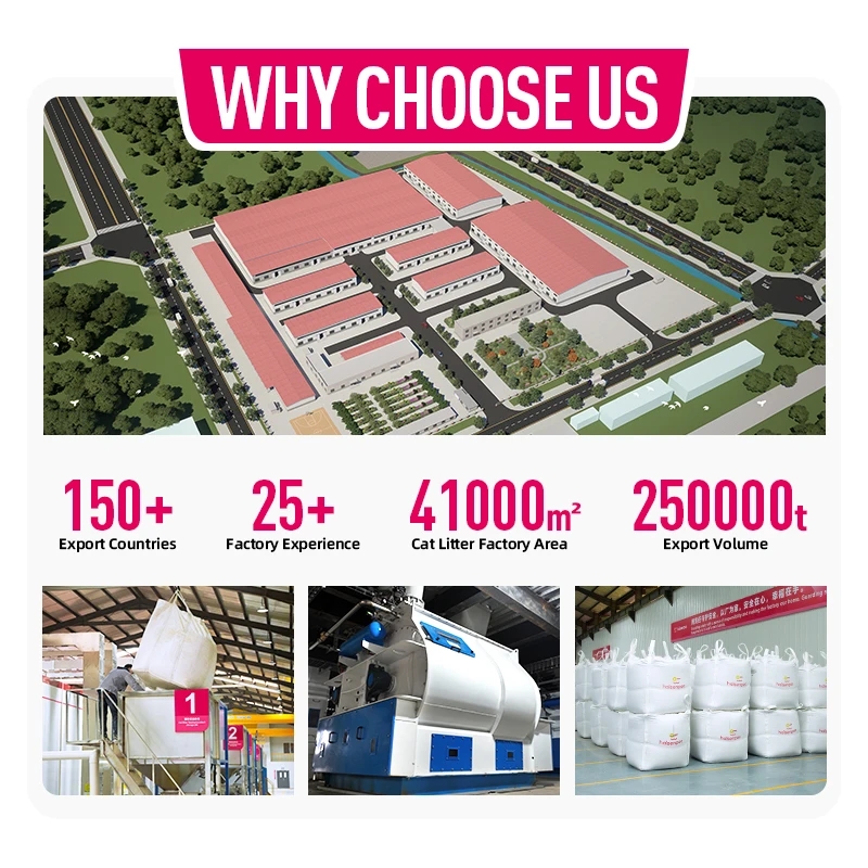 OEM ODM Catlitter Factory Wholesale Customized Fragrances Broken Ball Shaped Clumping Cat Litter Sand