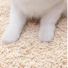 Natural Eco Friendly Biodegradable Low Dust Clumping Flushable Plant Starch Broken Crushed Millet Tofu Cat Sand Cat Litter