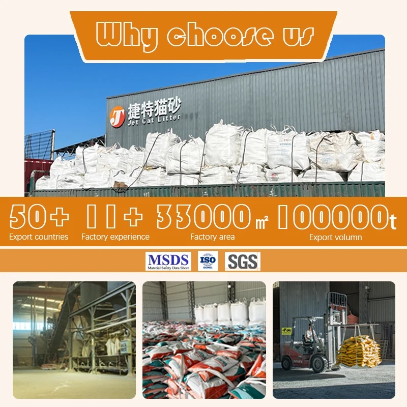 Factory Supply Oem High Water Absorption Quick Clumping Bentonite Broken Cat Litter Pet Product Dust Free Natural Bulk Cat Sand
