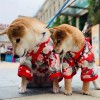 Spring Summer Clothes for Cat Dog Japanese Style Pet Clothing Kimono for Small Medium Dogs Shiba Inu Corgi Puppy Costume Outfit